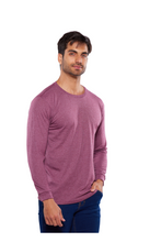 Cargar imagen en el visor de la galería, Pack 5 Playeras Manga Larga 100% Algodon, 404-5