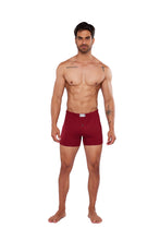 Cargar imagen en el visor de la galería, Boxer Alfani Jersey, JR71