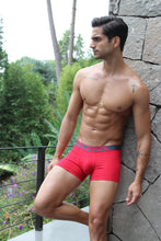 Cargar imagen en el visor de la galería, Paquete 4 Boxers Alfani Metro, MT99-4